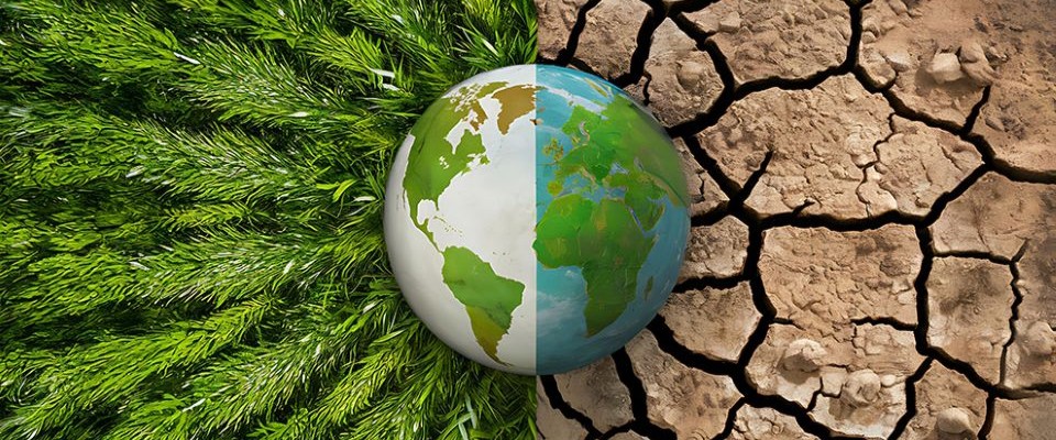 Earth with green plants on one side and desert on the other